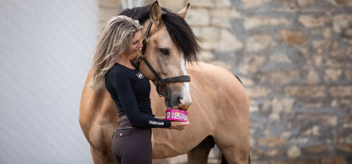 EQ Unsere Marken Horslyx Banner